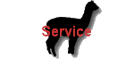 Service