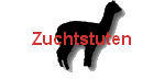 Zuchtstuten