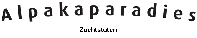 Zuchtstuten